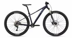 Bicicleta De Montaña Liv TEMPT 29 1 2022