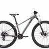 Bicicleta Liv Tempt 29 3 23 Morado (M)