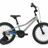Bicicleta Giant Animator C/B 16 23 Gris Talla Unica -Bicicletas Ventas MOUxRy5R1fFzrS0ImfKqHb3E4