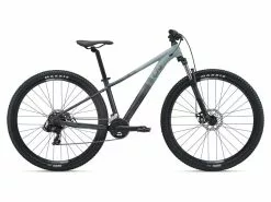 Bicicleta Liv Tempt 29 3 21 Gris M