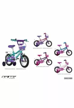 Bicicleta Infantil GW Niña Fairy