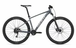 Bicicleta Giant Talon 29 2