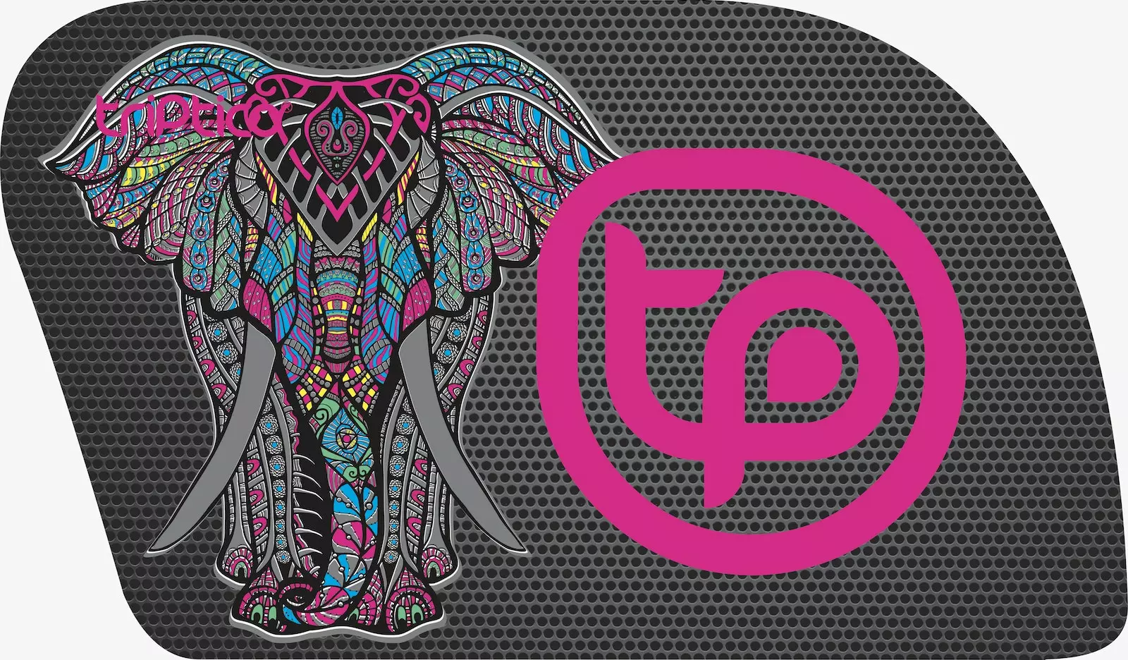 Triptico Maleta R4pro Elefante Fucsia 3 Triptico Maleta R4pro Elefante Fucsia